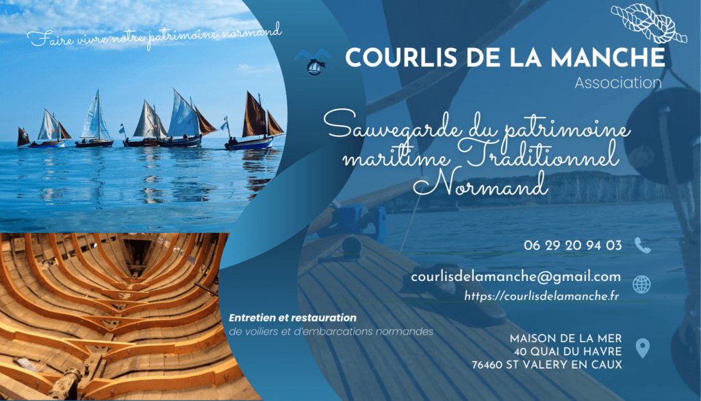 carte visite courlis de la Manche